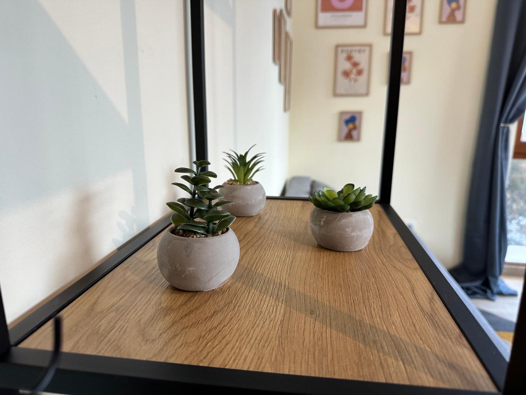 Pine Tree - Charming Apartament