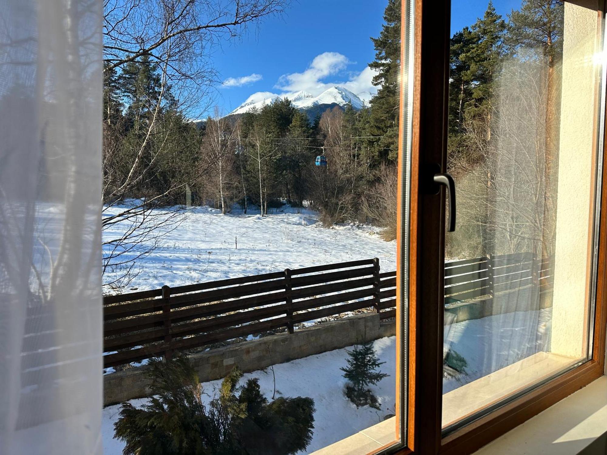 Apartament Pine Tree - Charming Bansko